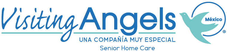 visitingangels.campus.university