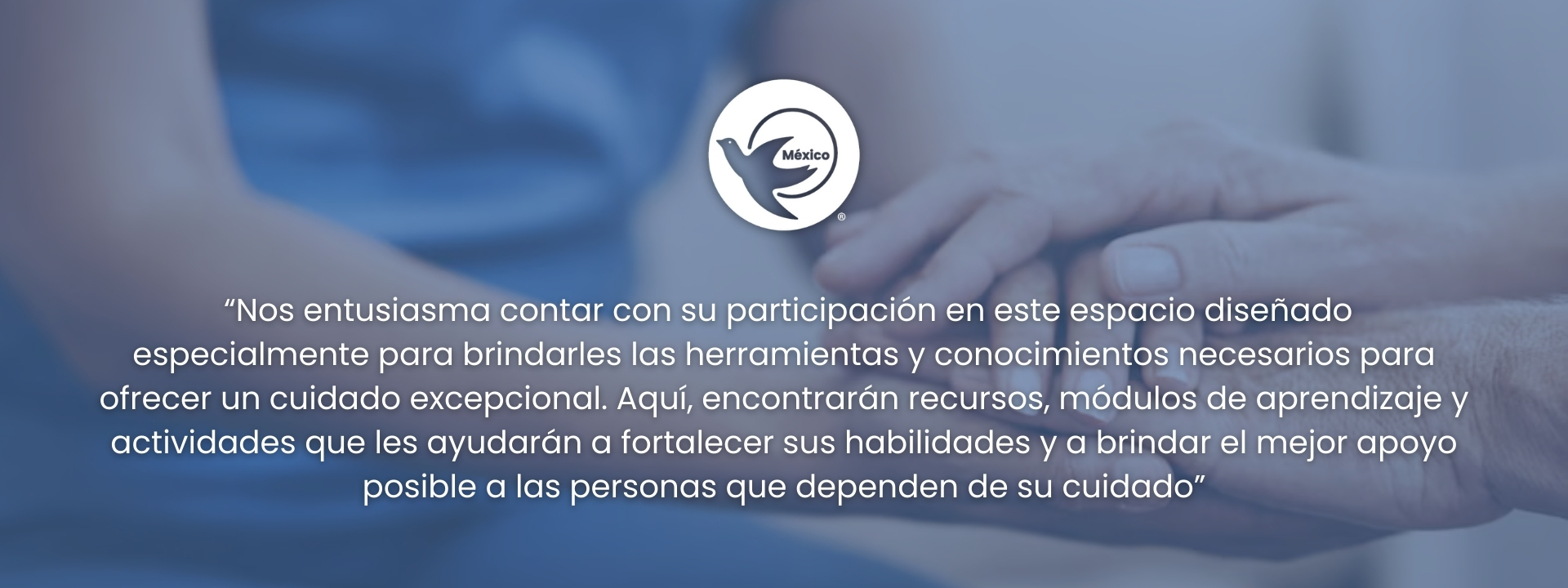 Banner de la página principal